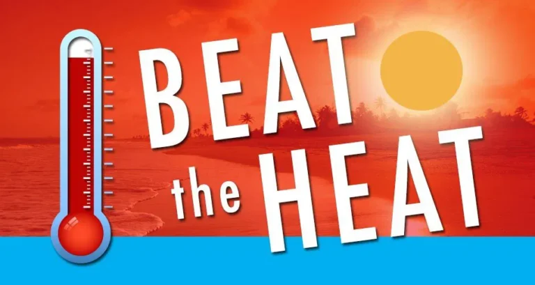 How I Survived Summer in Coral Gables: La Casita’s Secret Weapons Against the Heat
